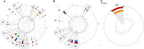 Comparative Genomic Analysis of a Novel Vibrio sp. Isolated from an ...