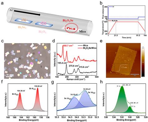 Revealing the Role of Vapor Flux in Chemical Vapor Deposition Growth of ...