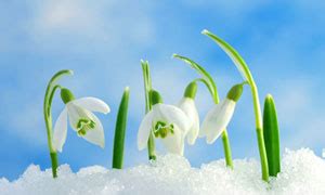 Orient Beverages Limited : Gallary