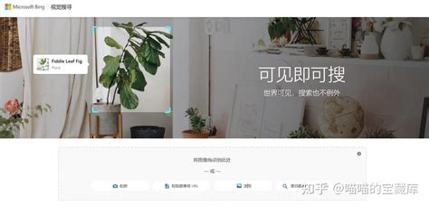 以图 搜图 的图像结果