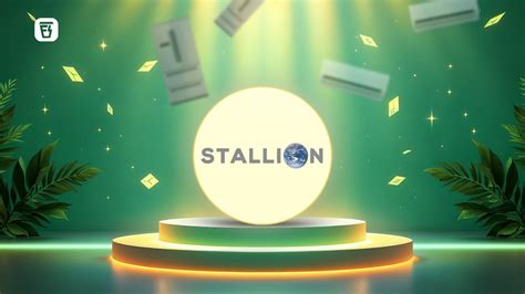 The Stallion India Fluorochemicals IPO