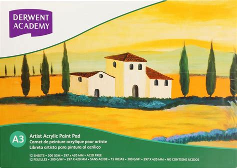 Derwent Academy Acrylic Pad 12 Sheets, 300 GSM (A3 Landscape) : Amazon ...