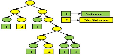 Epileptic Seizure Prediction Based on Hybrid Seek Optimization Tuned ...