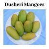 Alphonso, Langra, Chausa and Dussehri are some types of which fruit? a ...