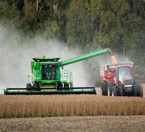 Bio Fertilizer Supplier, Flowering Stimulant Manufacturer