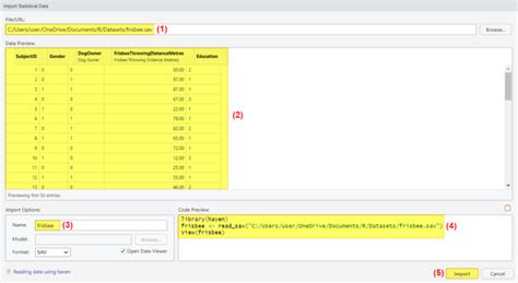 Image result for Typing R Code in SPSS