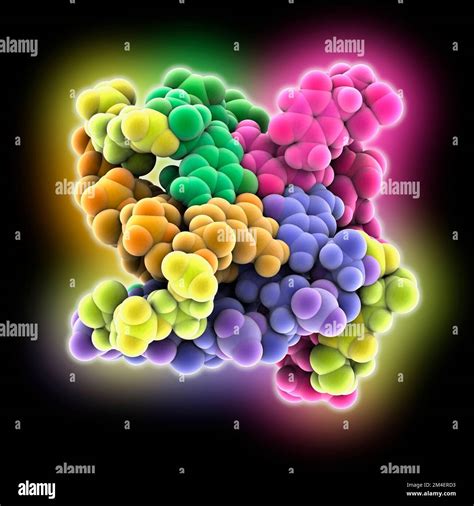 Parallel G-quadruplex structure, molecular model Stock Photo - Alamy