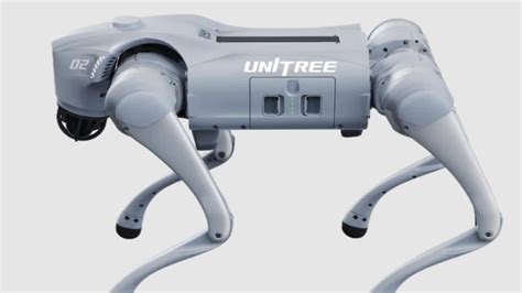 AI Impact Summit 2026 | Unitree Go2