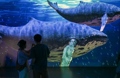 Photos Chine : application de technologies numériques dans un musée ...