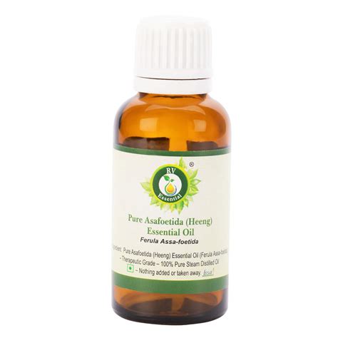 R V Essential Ferula Assa-foetidaPure Asafoetida (Heeng) Essential Oil ...