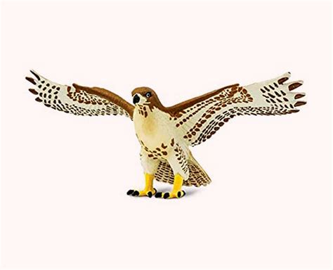 How To Get Rid Of Pigeons In Hindi | how to get rid of pigeons | Herzindagi