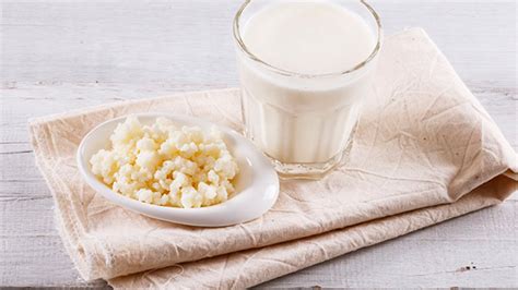 Qué son los búlgaros y cuáles son los beneficios de su leche