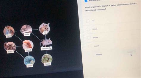 Solved: Which organism in this list is both a secondary and tertiary ...