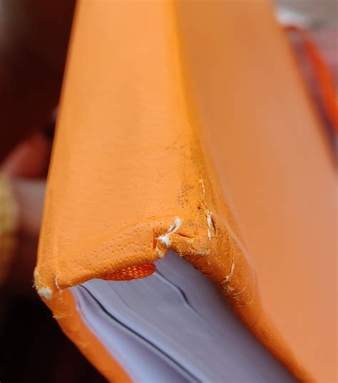 The High Performance Planner [orange] : Burchard, Brendon: Amazon.in: Books
