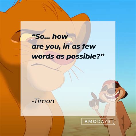 Lion King Timon Quotes
