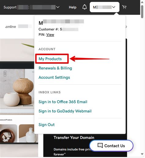Image result for Go Daddy Outgoing Mail Server