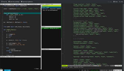 Image result for Python Debug