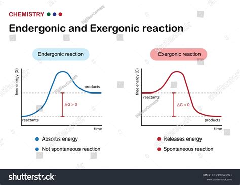 Definition Of Endergonic Reactions