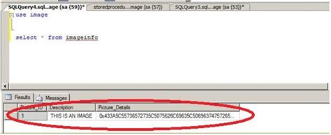 How to Insert Image in SQL Database Using C 的图像结果