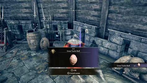 Image result for Great Turtle Shell