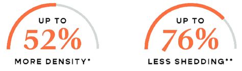 Image result for Vortex Braid