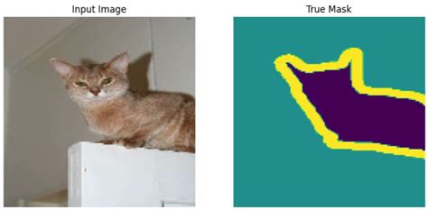 Image Segmentation Using Unet Tensorflow 的图像结果
