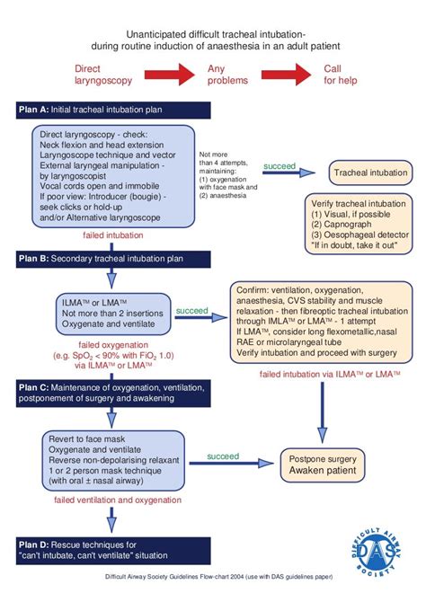 Image result for Difficult Airway Algorithm