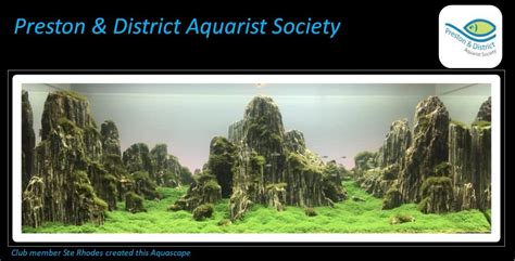 The Art of AquaScaping , Deepdale Labour Club, Preston, 7 November 2024 ...
