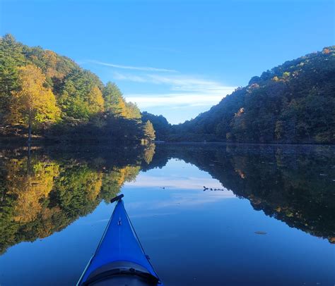 Steele Creek Park Nature Paddle & Picnic — APEs