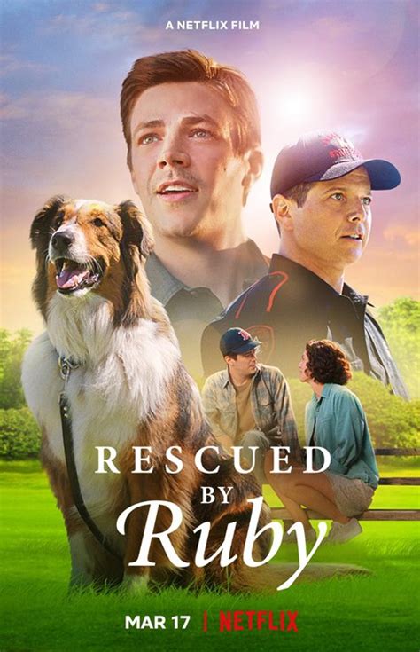 სასტუმრო ტრანსილვანია 4: ტრანსფორმანია / sastumro transilvania 4 ...