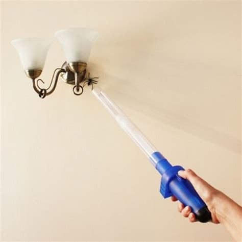 Is Vacuuming Spiders Effective at Denise Feliciano blog