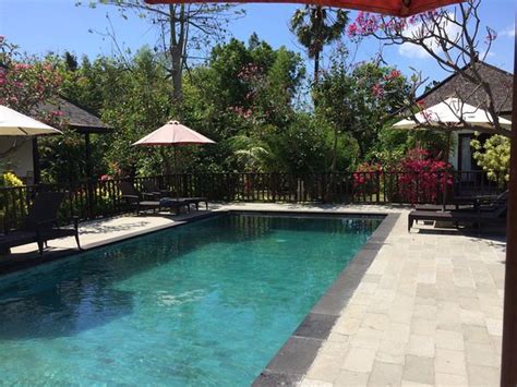 TAMAN DEWI SRI VILLA AND BUNGALOW (Pemuteran, Bali) - Hotel Reviews ...