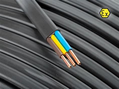 Image result for Conduction Ex