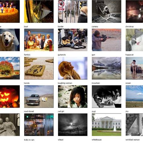Image result for Sorting Example Picture
