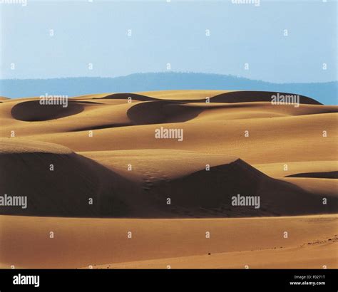 Medanos De Coro Venezuela