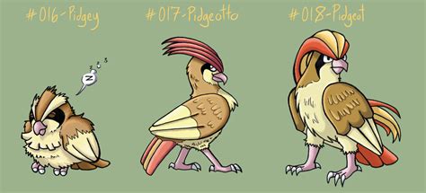Image result for Pidgey Evolution Level