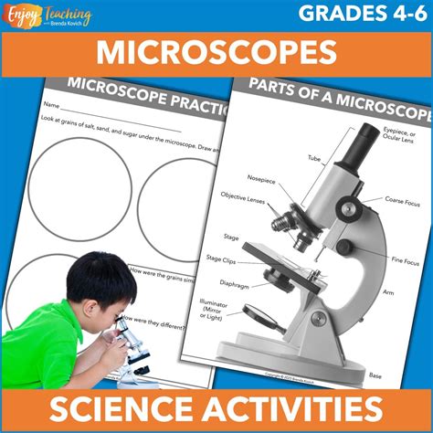 Image result for How To Use A Microscope For Elementary Students