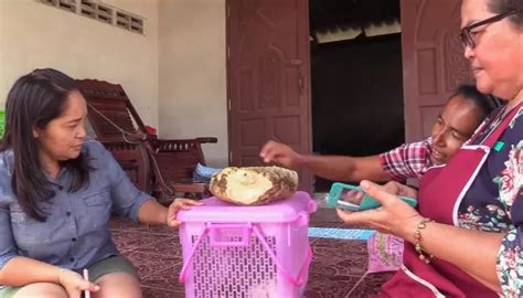 Thai Woman Finds Lump of Whale Vomit Worth Rs 1.8 Lakhs