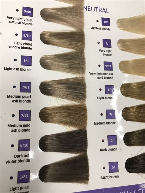 Ion Hair Color Light Brown at Josephine Randle blog