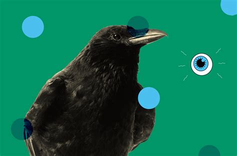 Intelligent Crows 的图像结果