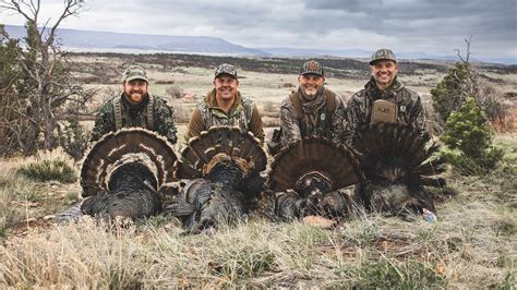 Watch MyOutdoorTV online | YouTube TV (Free Trial) Vector Art