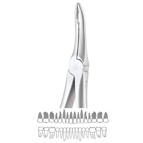 Buy GDC Extraction Forceps Upper Roots - 849.00 Secure (SFX849.00 ...