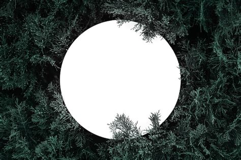 Tree mockup Images - Free Download on Freepik