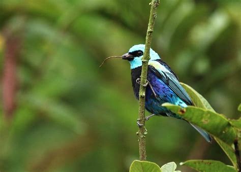 Punto Ornitológico Mindo - All You Need to Know BEFORE You Go