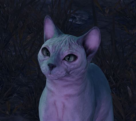 Steelclaw - bg3.wiki