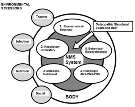 Image result for Common Compensatory Pattern