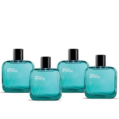 Buy Wild Stone Edge Perfume For Men, Pack Of 4 Liquid (50 Ml Each ...