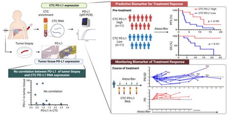 Programmed Death Ligand 1 Expression in Circulating Tumor Cells as a ...