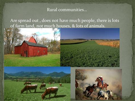 Communities 的图像结果