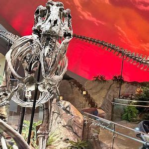 Create-A-Saurus: Discover, Imagine, and Sculpt Paleo Art , The Children ...